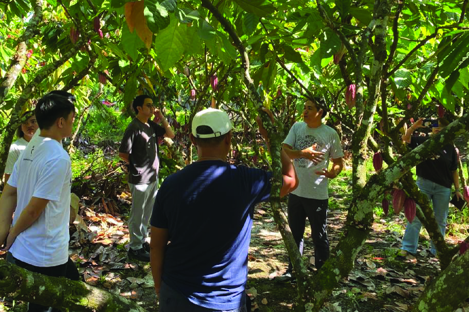 Trainings and Workshop